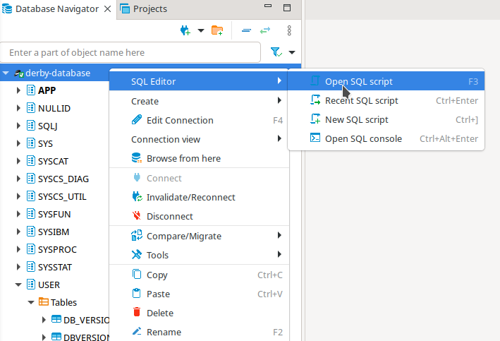 SQL Editor